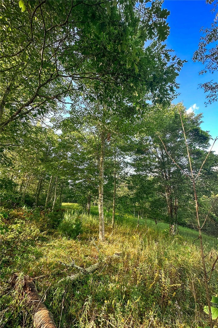 Image number 20 for the current listing