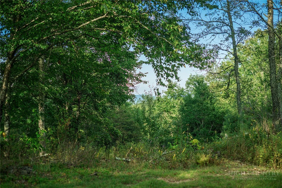 Image number 21 for the current listing