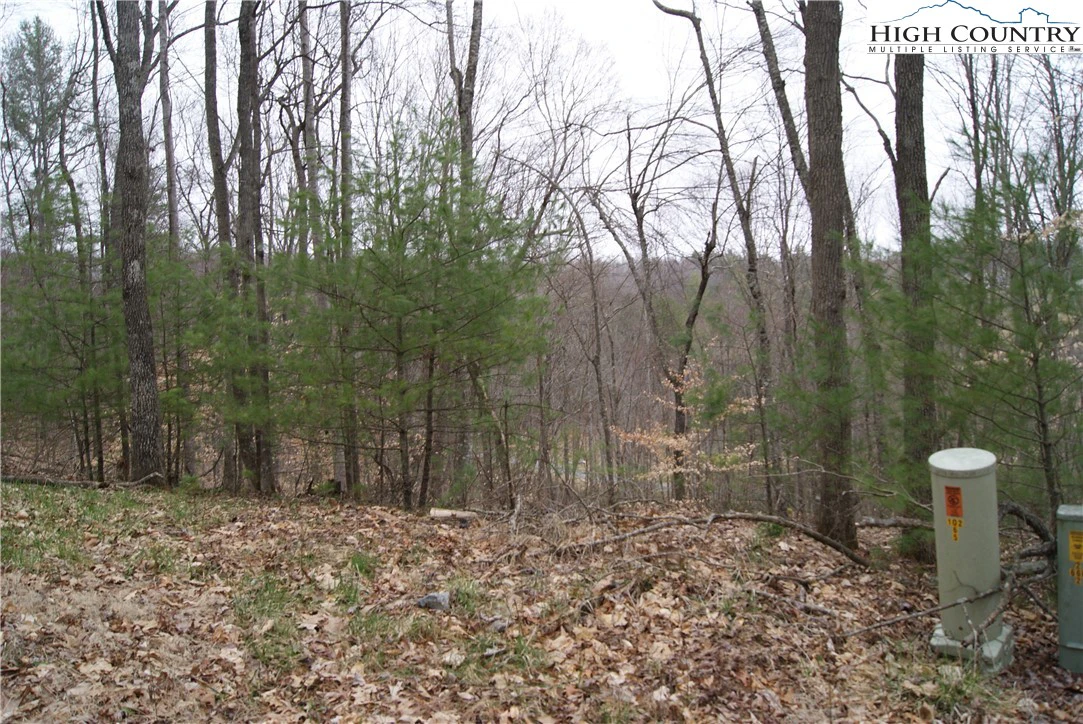Image number 1 for the current listing