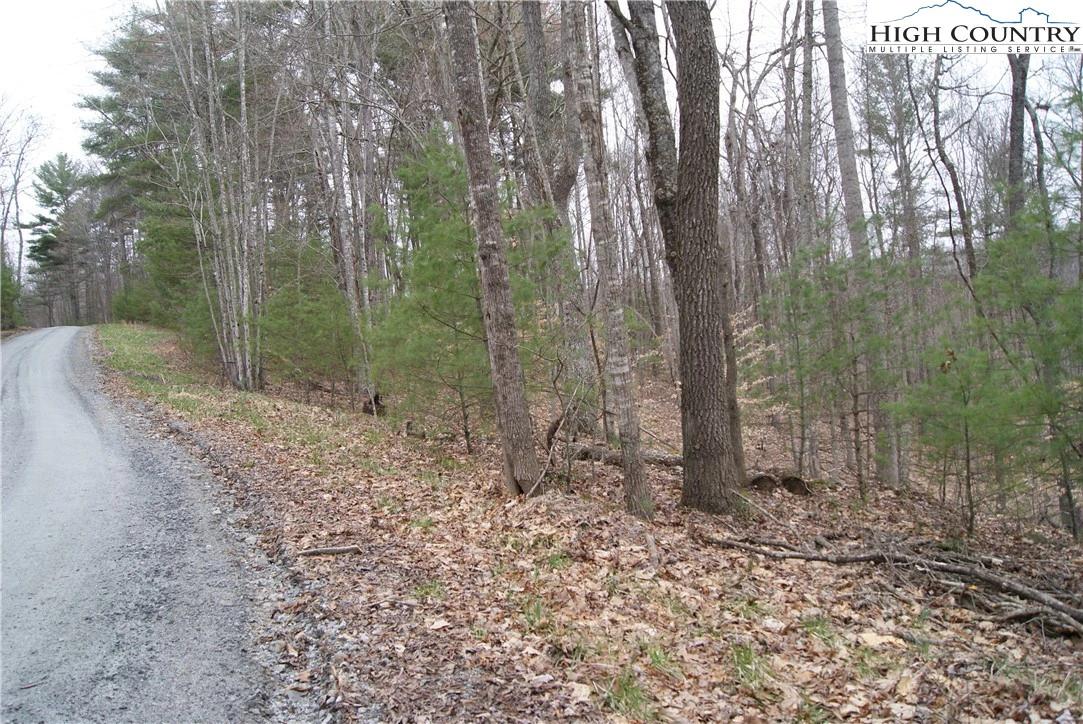 Image number 3 for the current listing