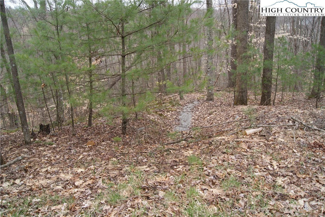 Image number 4 for the current listing