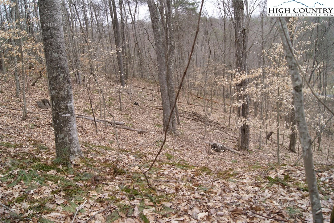 Image number 5 for the current listing