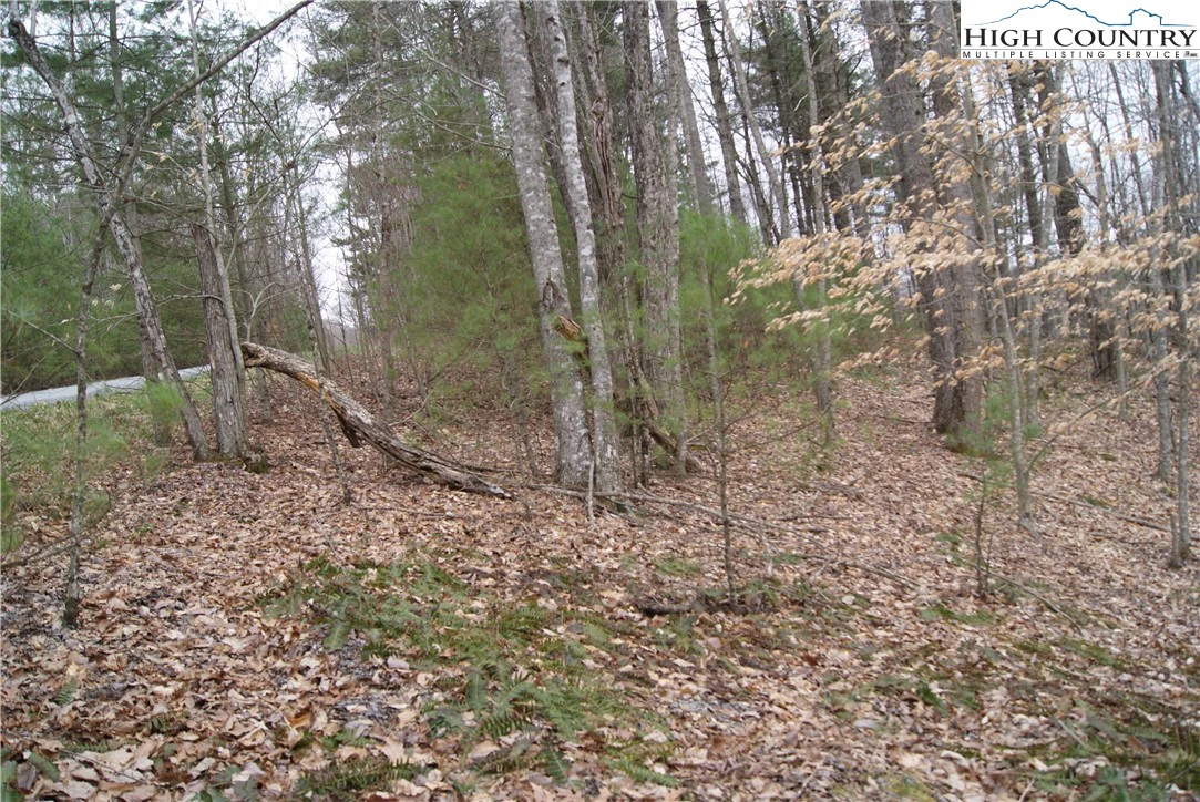 Image number 6 for the current listing