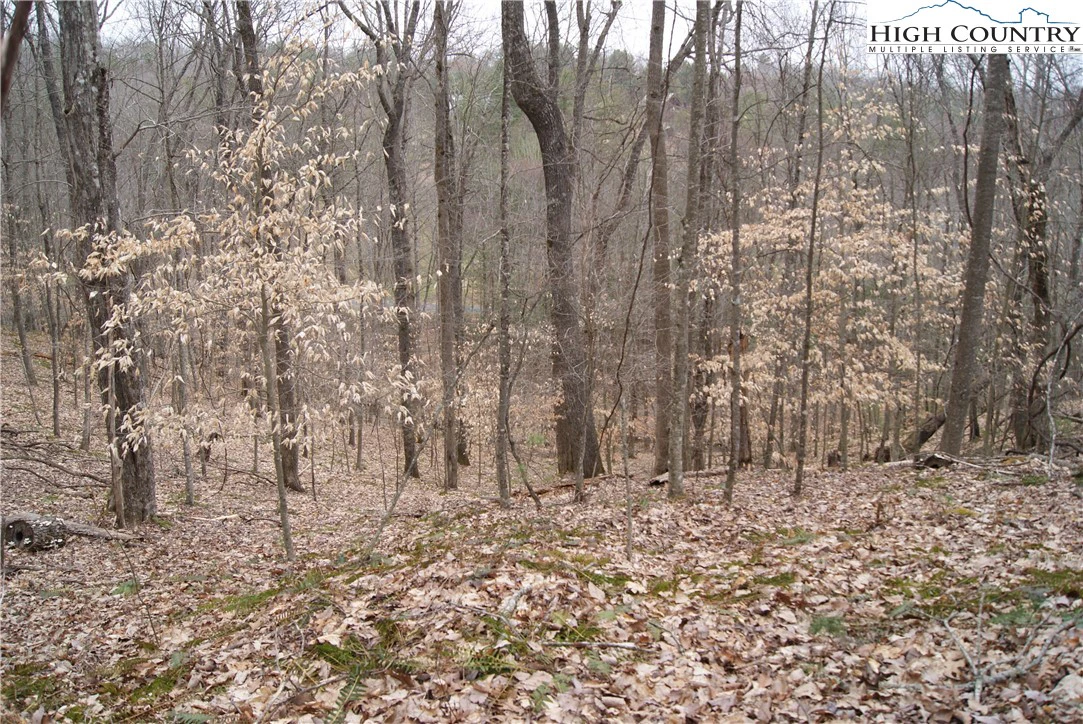 Image number 7 for the current listing