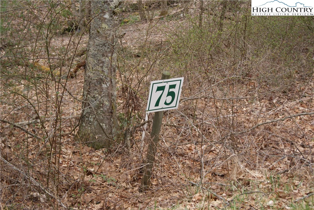 Image number 9 for the current listing