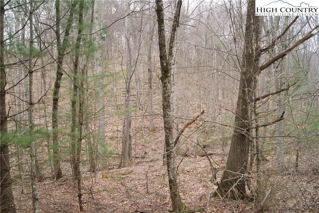 Image number 10 for the current listing