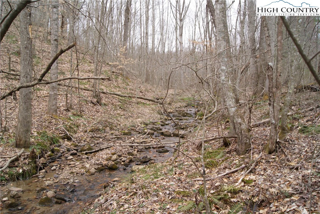 Image number 11 for the current listing