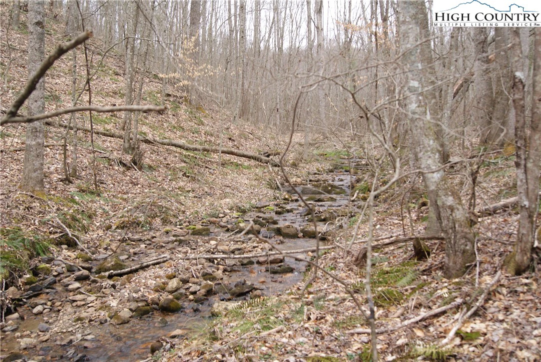 Image number 12 for the current listing