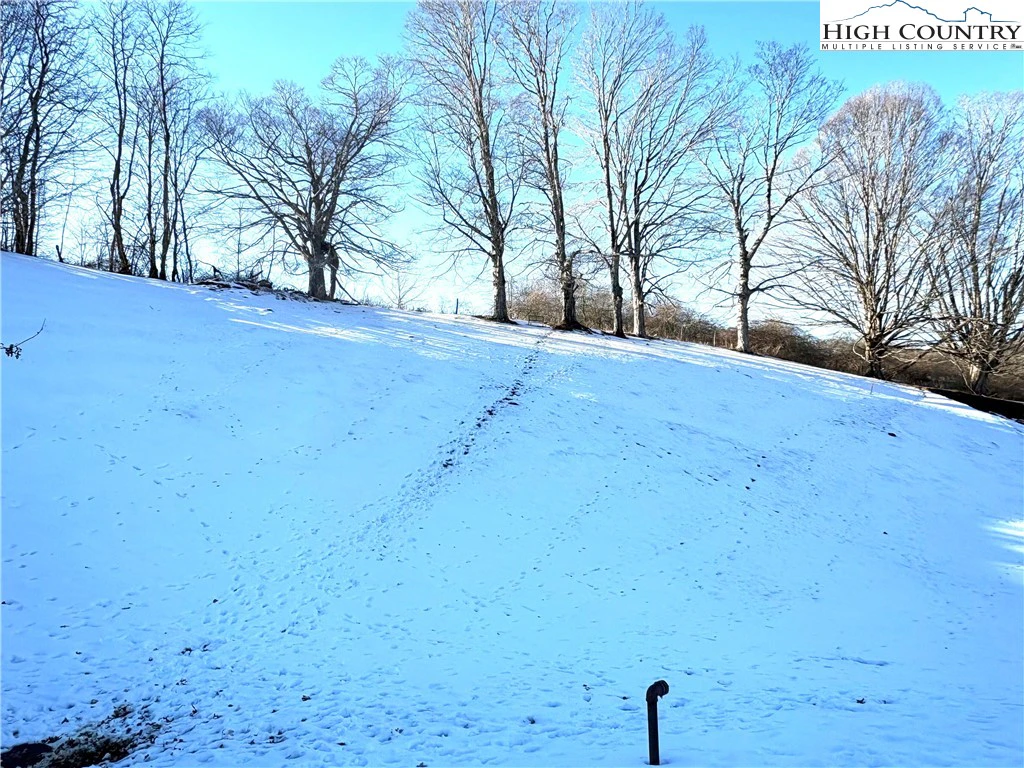 Image number 13 for the current listing