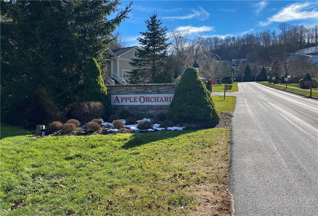 Image number 1 for the current listing