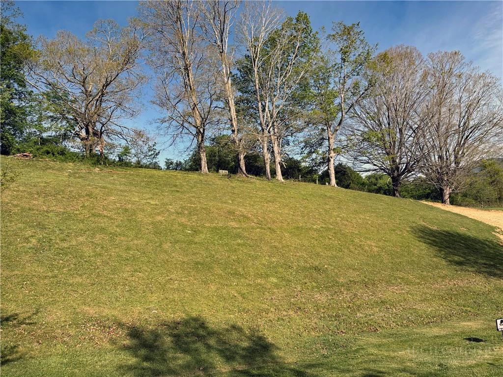 Image number 4 for the current listing