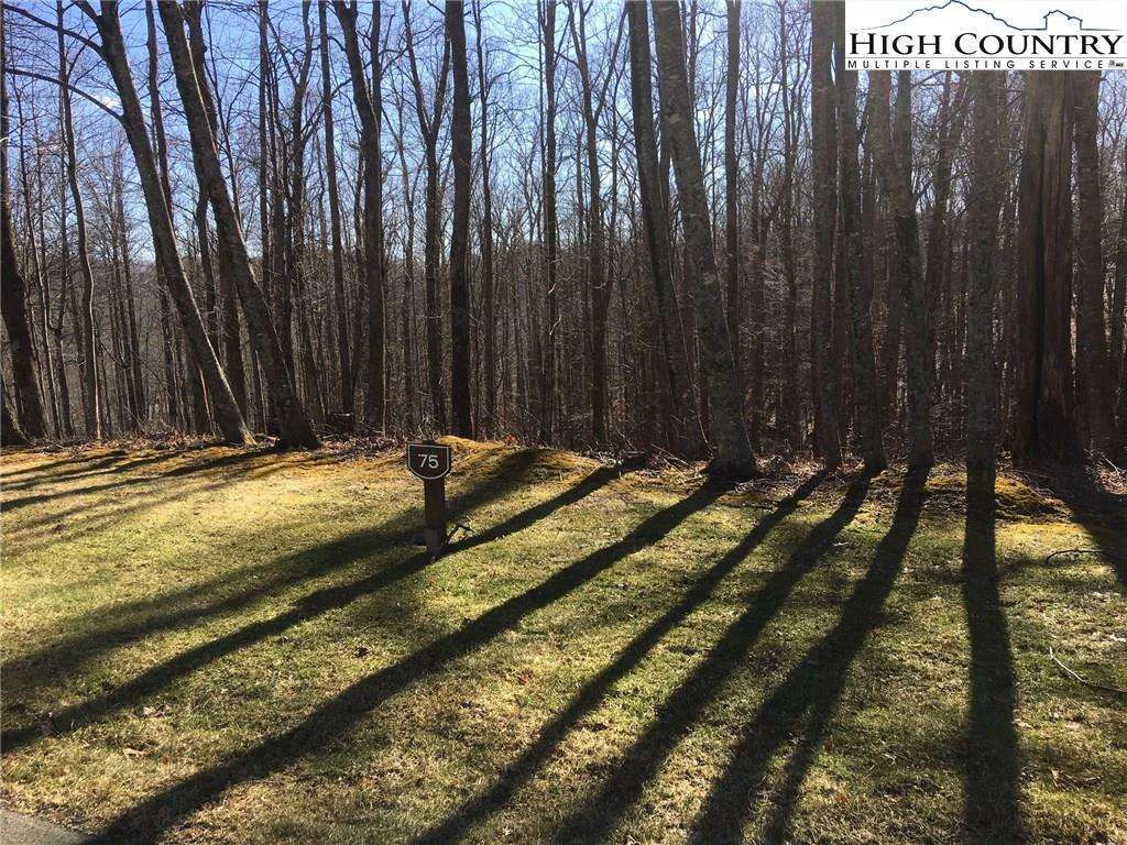 Image number 1 for the current listing
