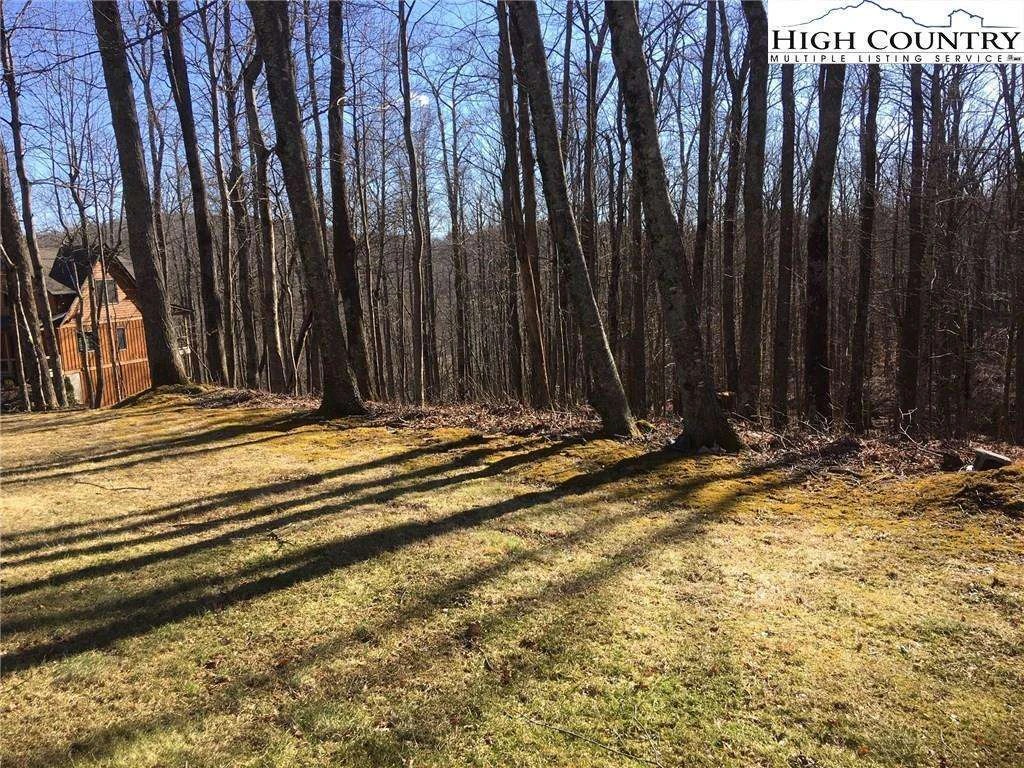 Image number 3 for the current listing