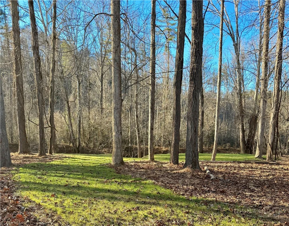 Image number 9 for the current listing