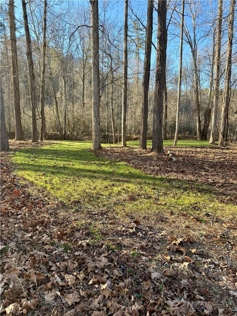 Image number 12 for the current listing