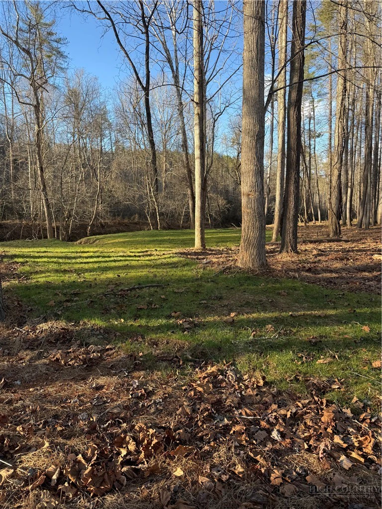 Image number 13 for the current listing