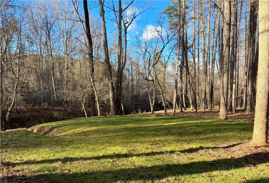 Image number 14 for the current listing
