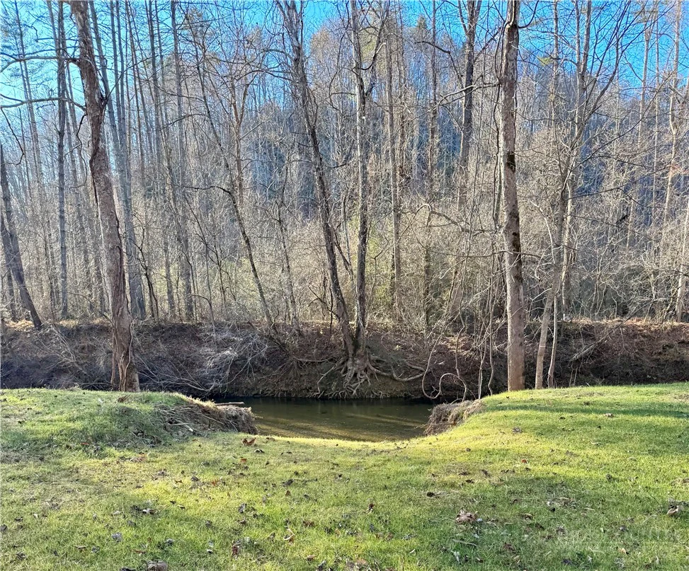Image number 15 for the current listing