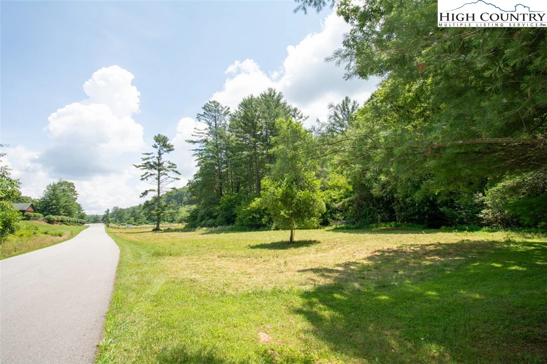 Image number 1 for the current listing