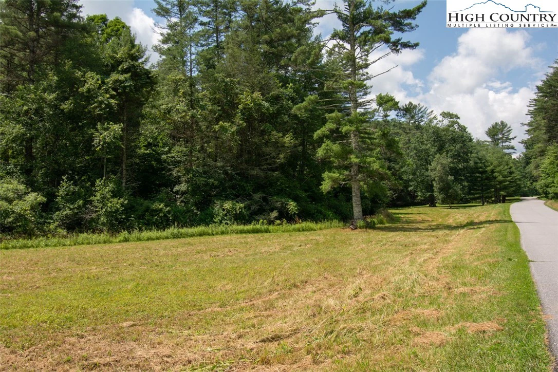 Image number 4 for the current listing