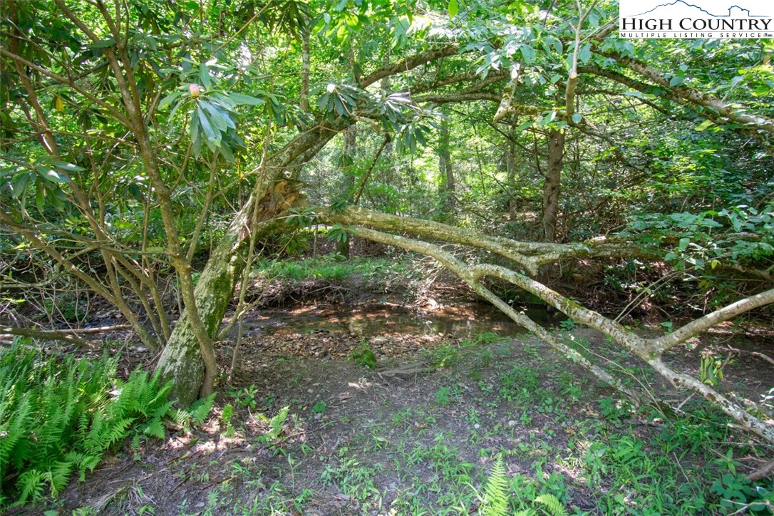 Image number 5 for the current listing