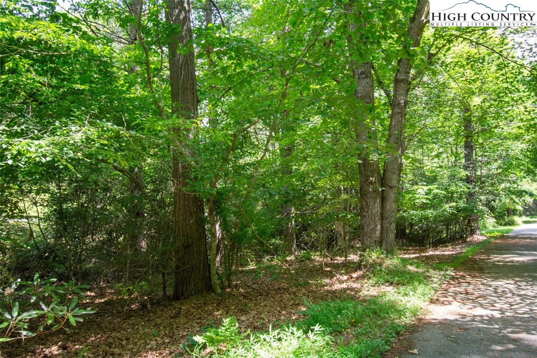 Image number 8 for the current listing