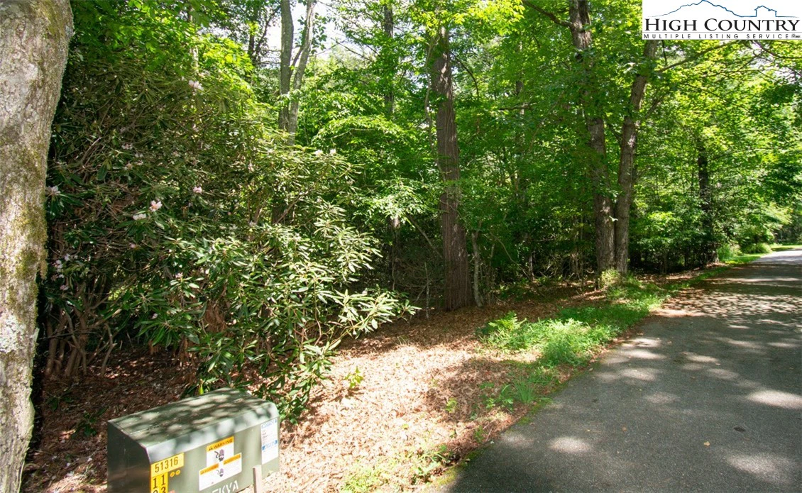 Image number 7 for the current listing