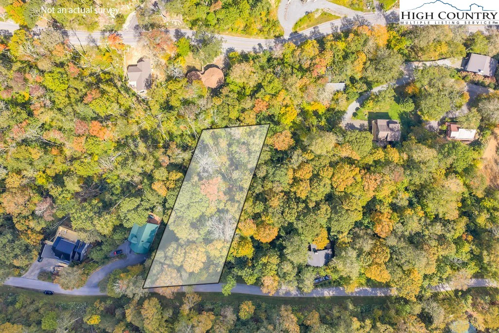 Image number 1 for the current listing