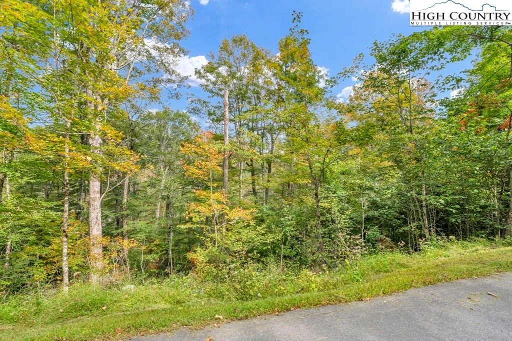 Image number 18 for the current listing