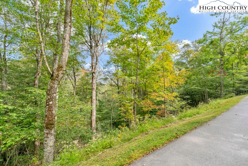Image number 14 for the current listing
