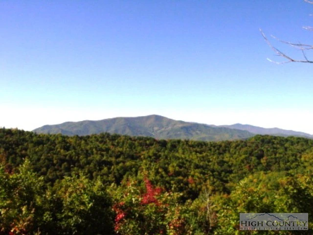 Image number 1 for the current listing