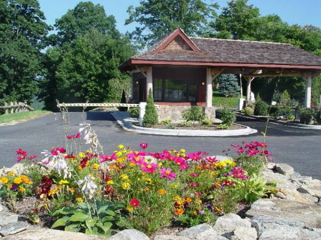 Image number 4 for the current listing
