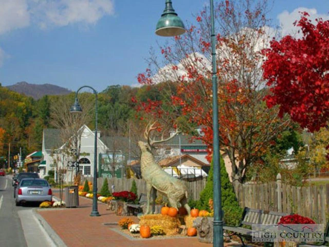 Image number 7 for the current listing