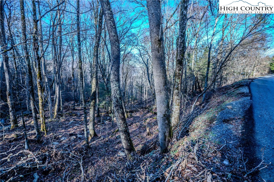 Image number 18 for the current listing