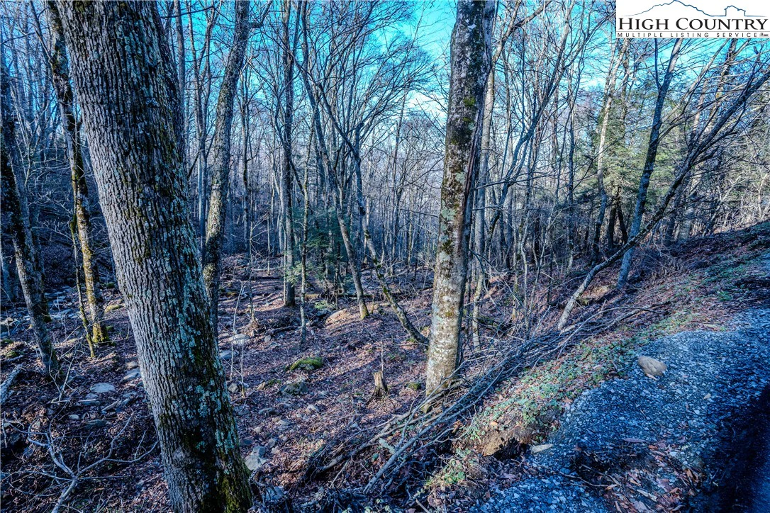 Image number 17 for the current listing