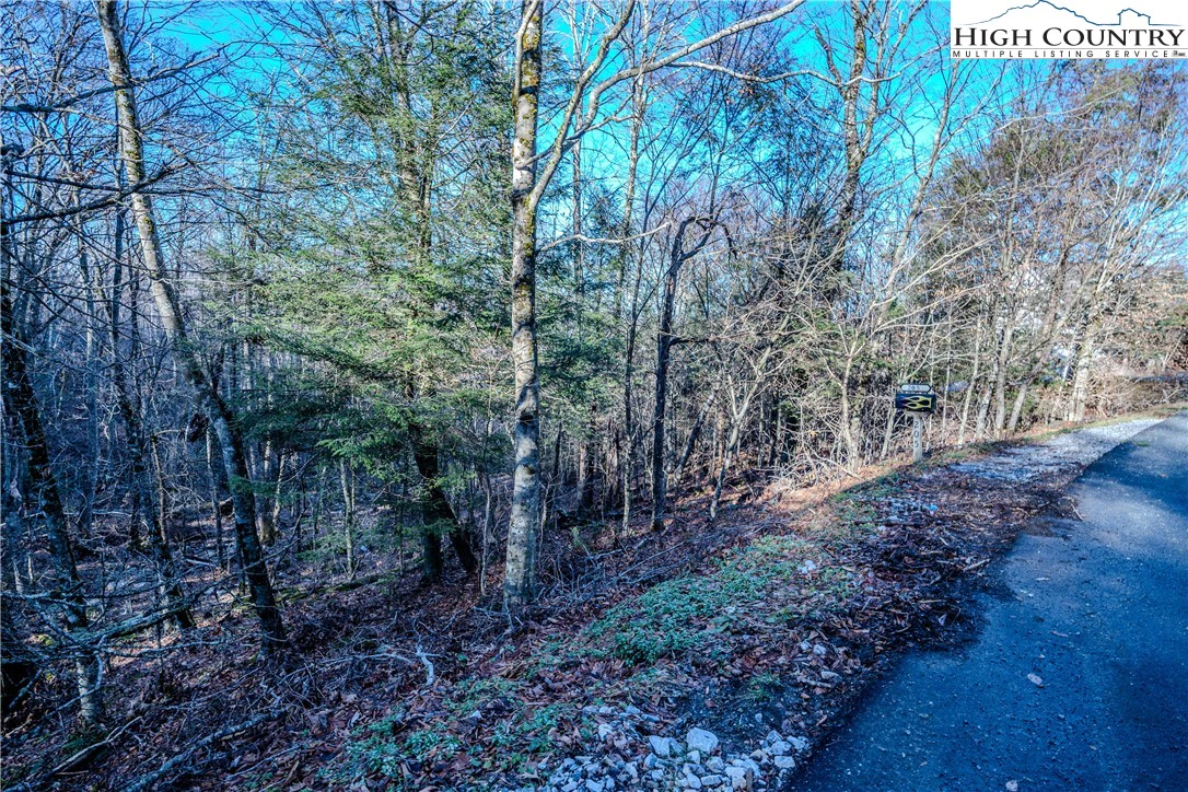 Image number 15 for the current listing