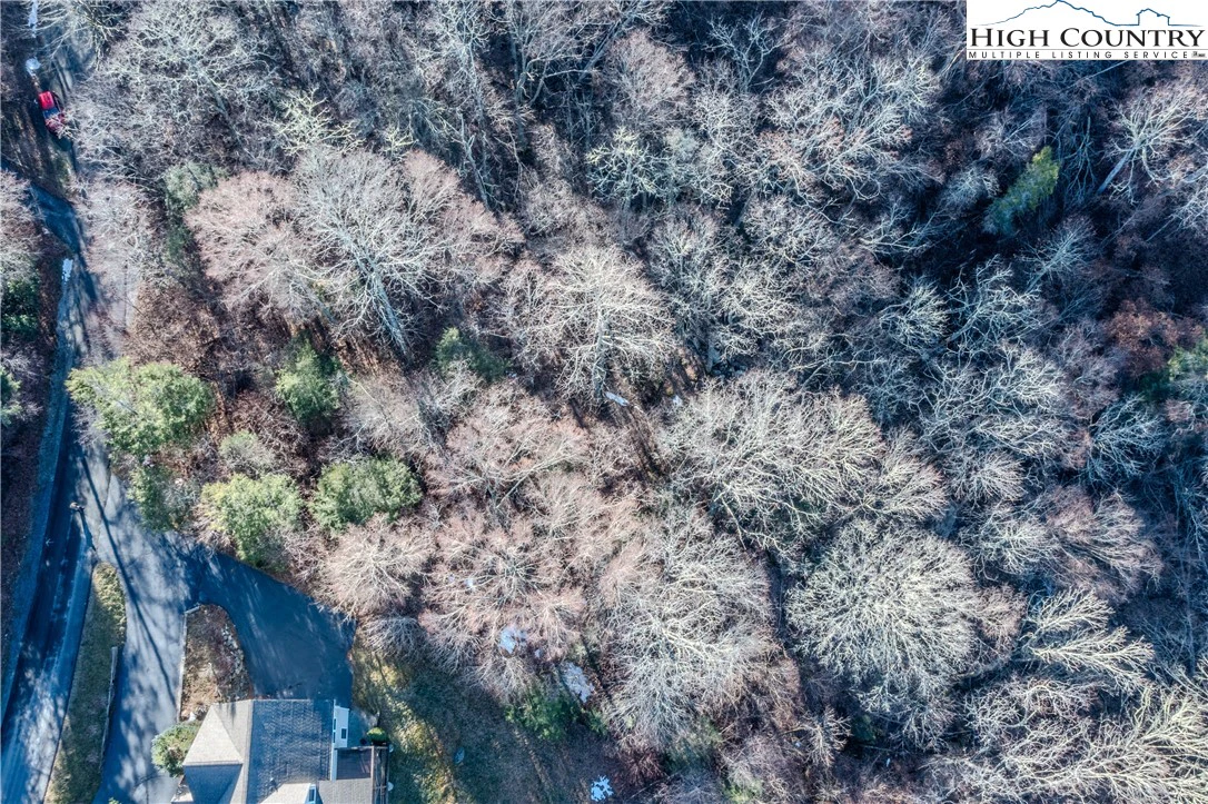 Image number 2 for the current listing
