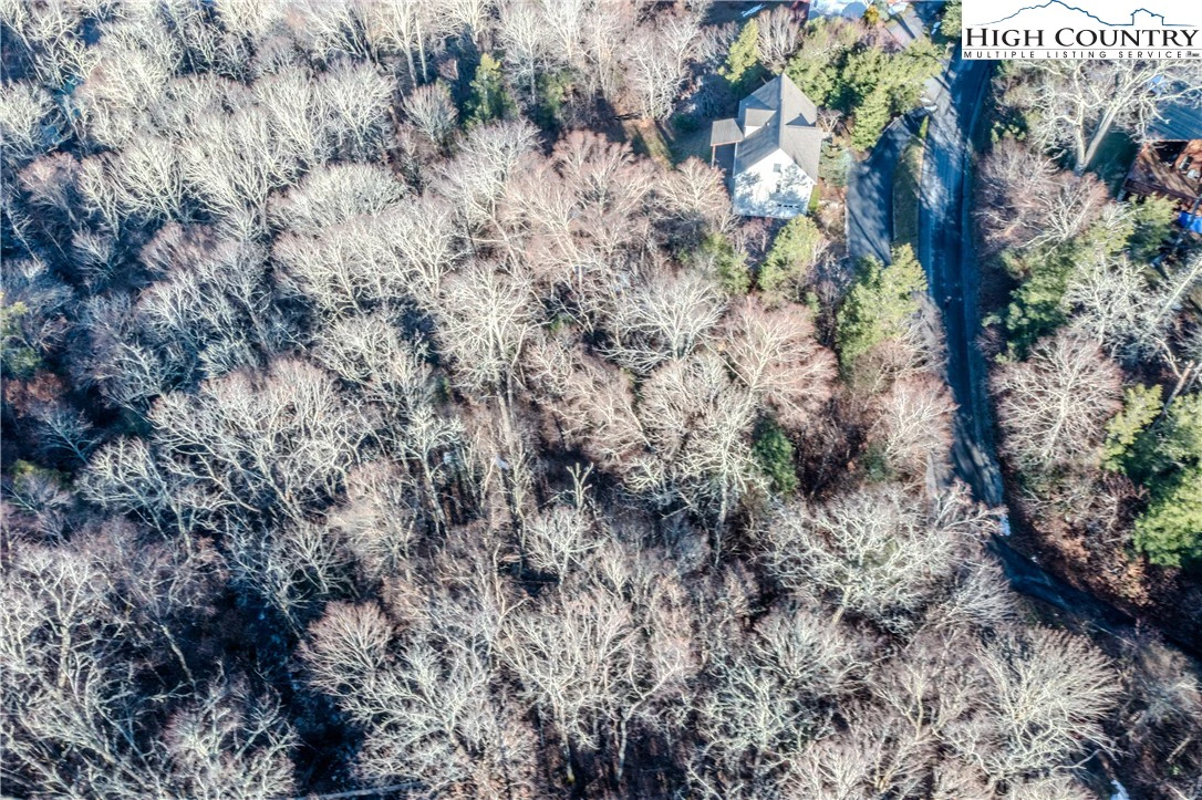 Image number 11 for the current listing