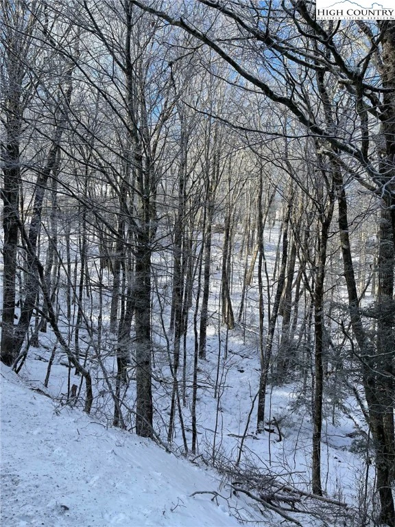 Image number 6 for the current listing