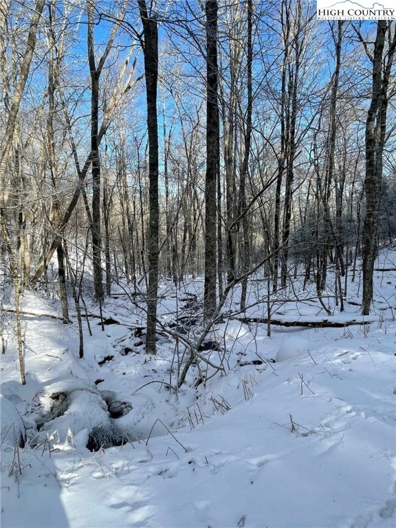 Image number 5 for the current listing