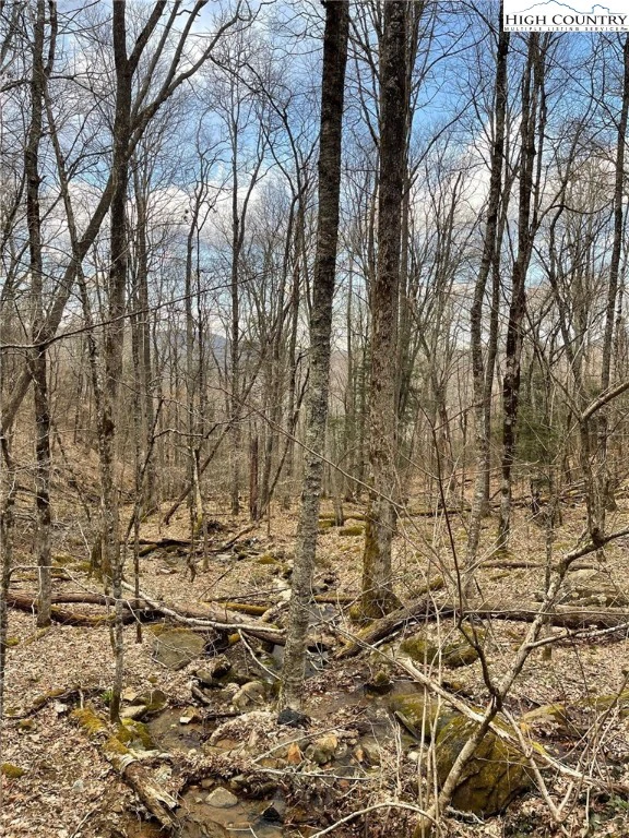 Image number 3 for the current listing