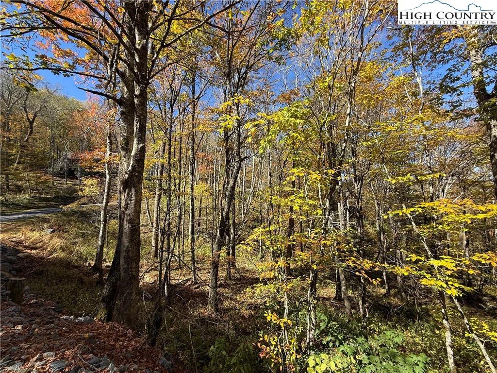 Image number 1 for the current listing