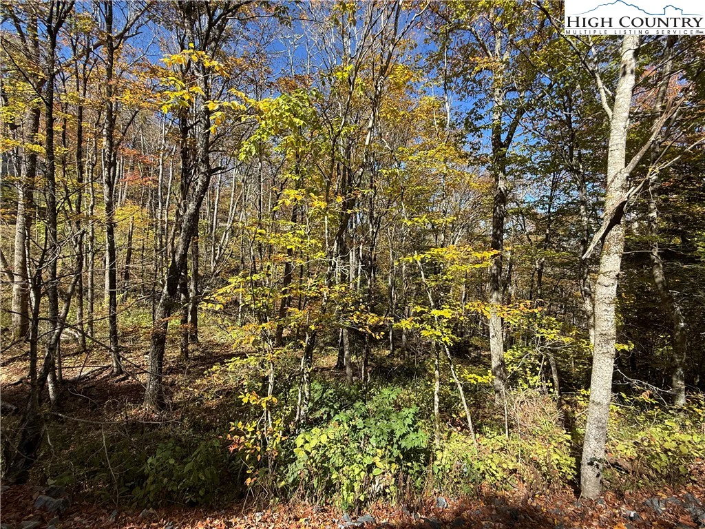 Image number 19 for the current listing