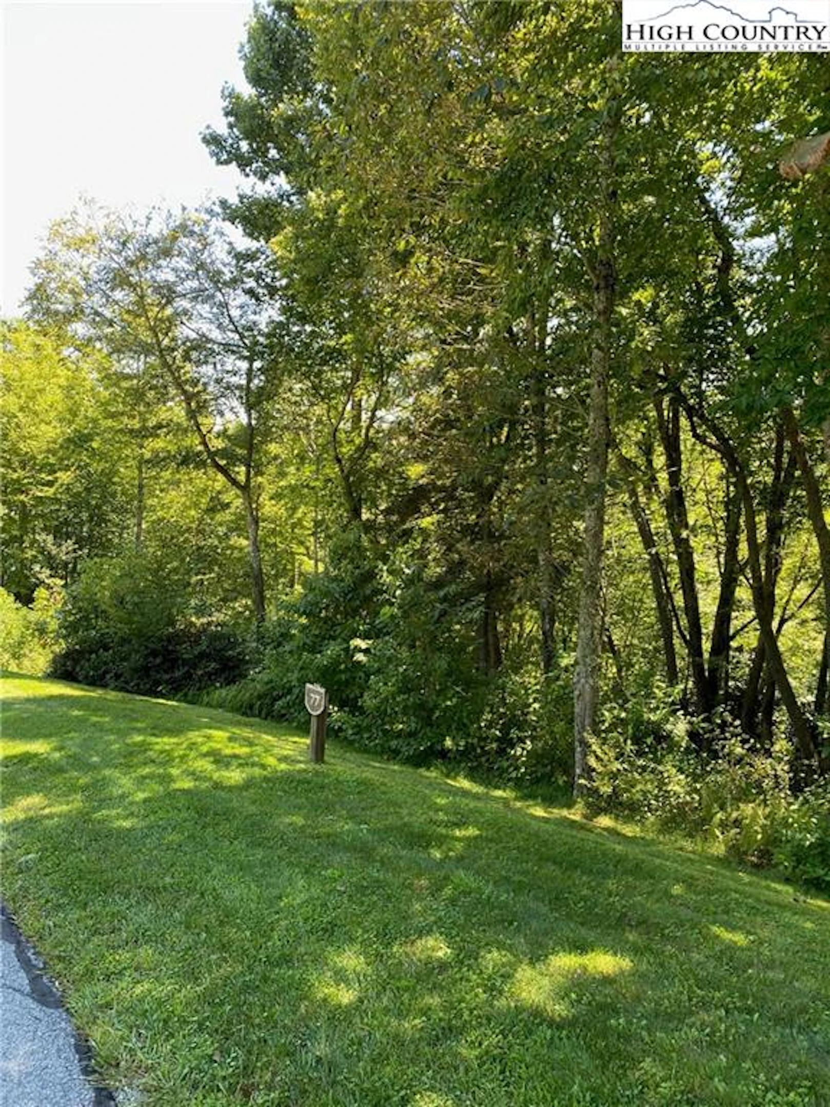 Image number 1 for the current listing