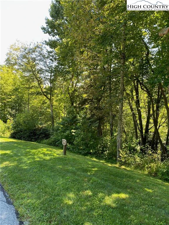 Image number 1 for the current listing