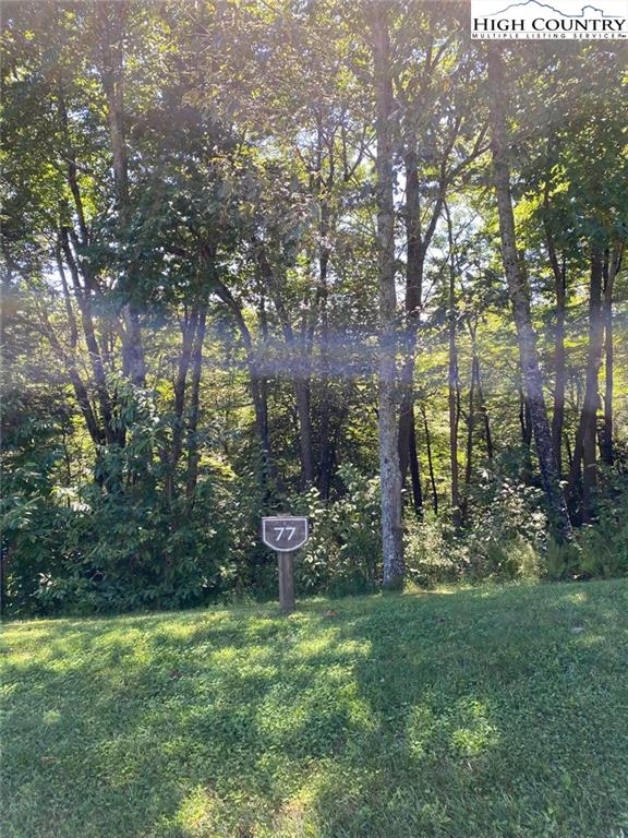 Image number 6 for the current listing