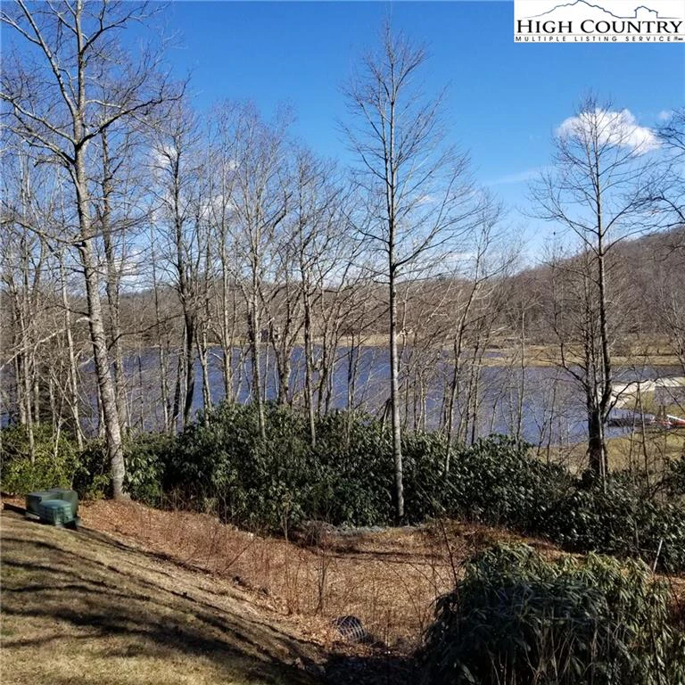 Image number 4 for the current listing