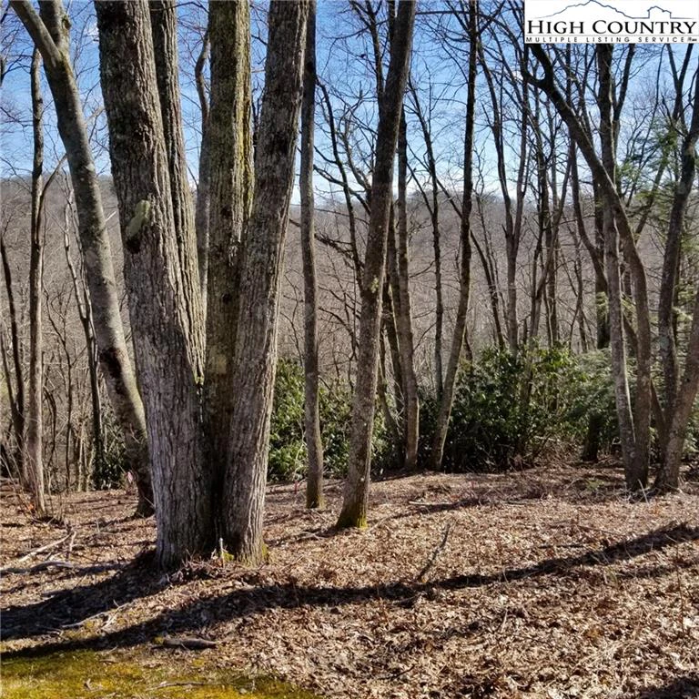 Image number 7 for the current listing