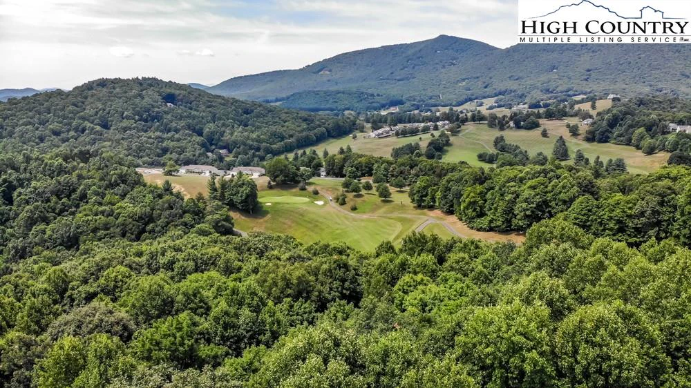 Image number 1 for the current listing