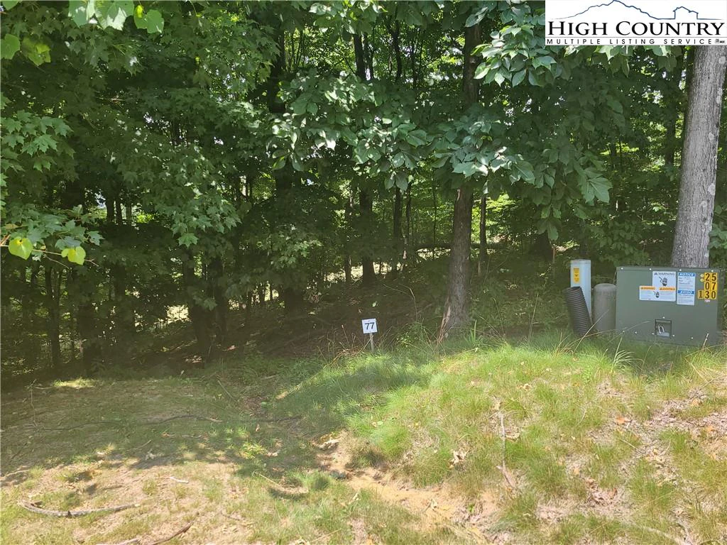 Image number 10 for the current listing